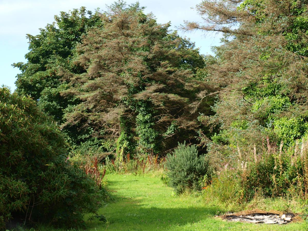 The River House Dungloe Dış mekan fotoğraf